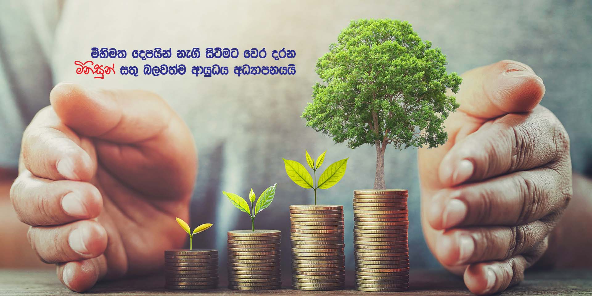 businessman protection money on table with tree. concept saving