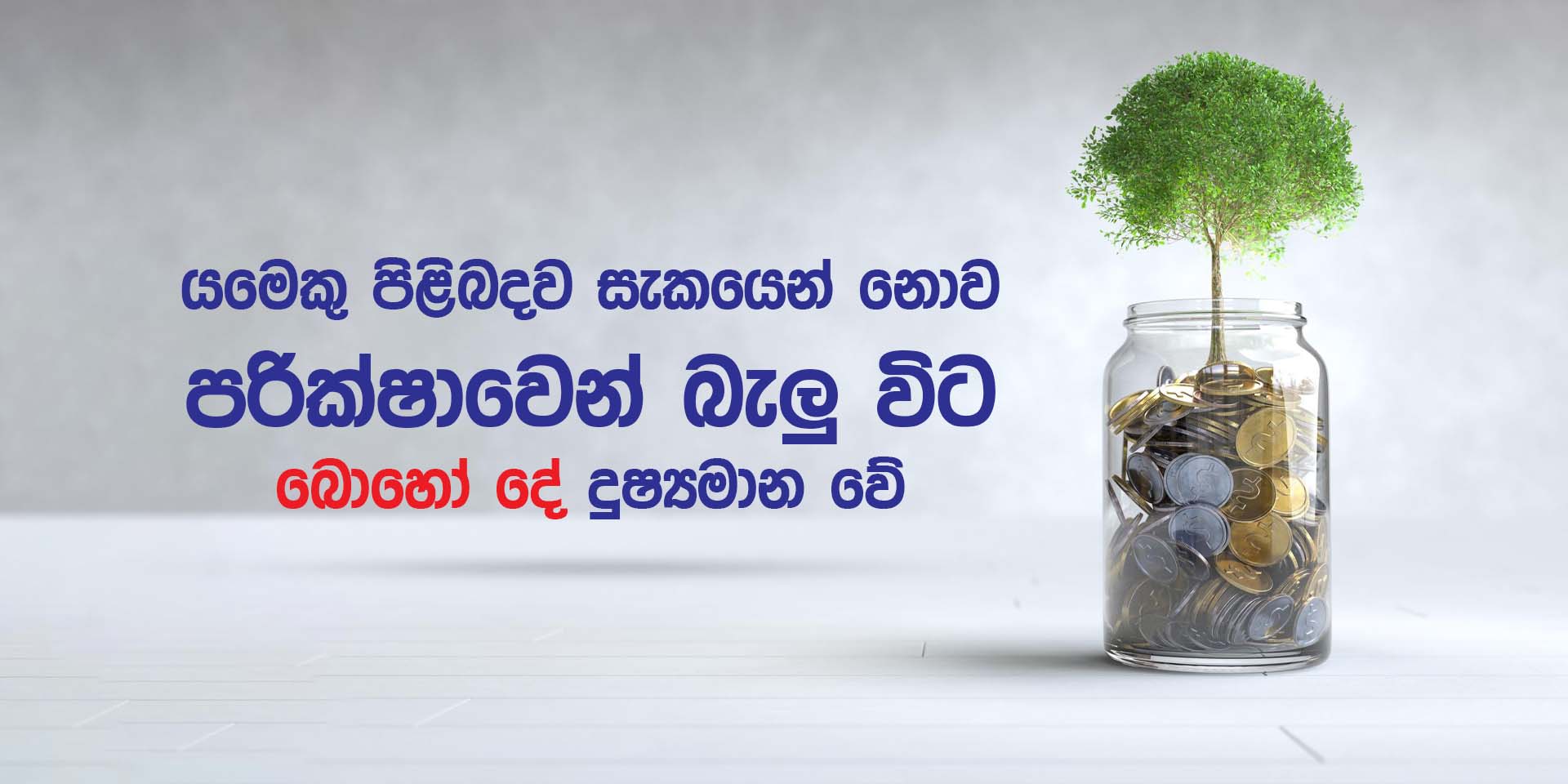 businessman protection money on table with tree. concept saving